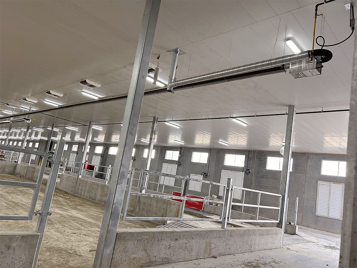 New Dale Colony — fresh Reflect-O-Ray installation in dairy barn